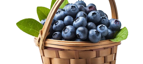 91063182_Blueberries_in_wicker_basket_-1__1_-removebg-preview