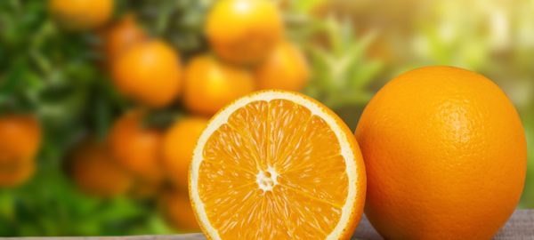 Orange from the garden.