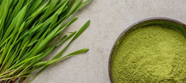 barley-green-ingredient
