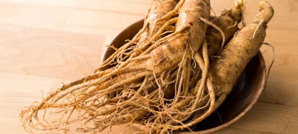 jho-ginseng