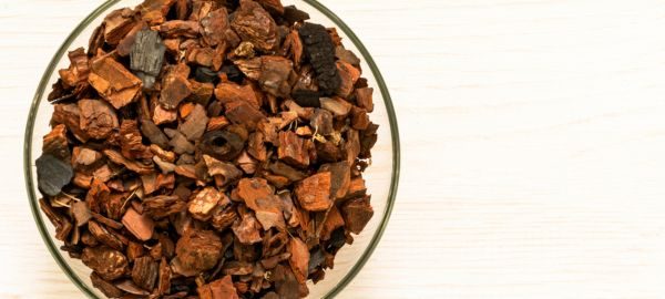 jho-pine-bark-extract