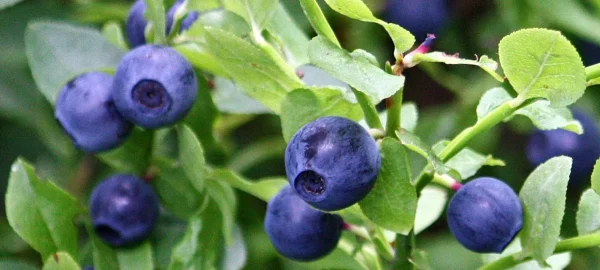 l_73ae1fd3-4461-4dc1-96cd-c209738a89b0_1024x1024@2x